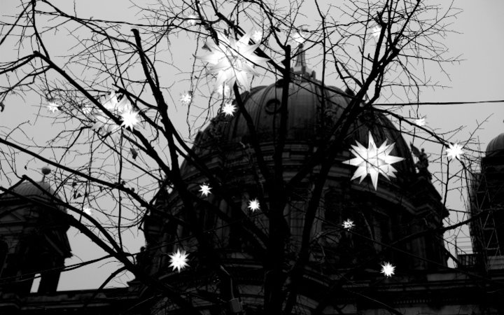 Adventsblog Berliner Dom mit Weihnachtssternen 2020-11-30