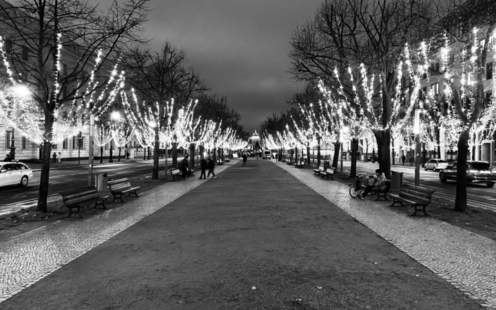 Unter den Linden mit Straßenbeleuchtung