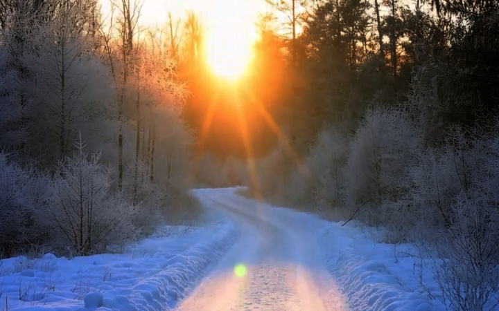 Verschneiter Waldweg im Gegenlicht