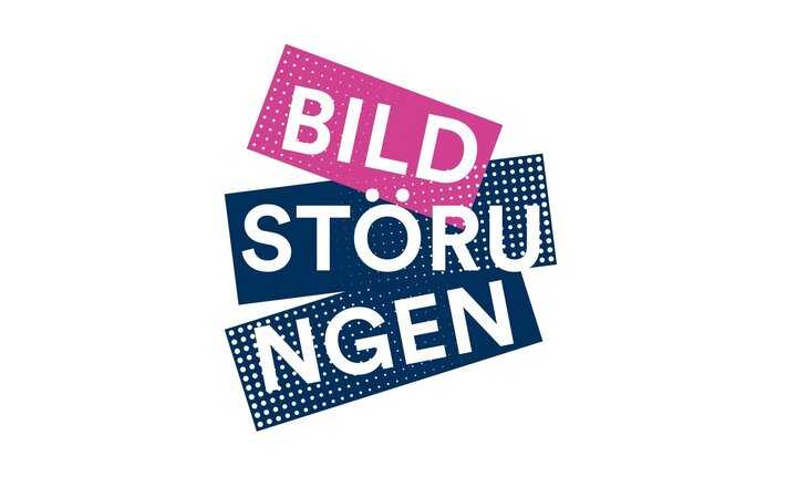 Bildstörungen