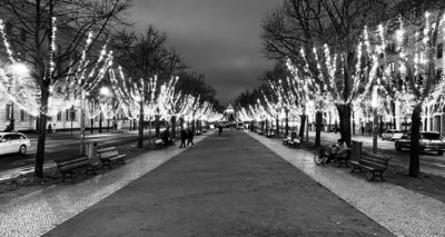 Unter den Linden mit Straßenbeleuchtung