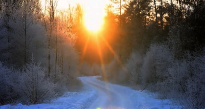 Verschneiter Waldweg im Gegenlicht